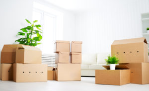 move. lots of cardboard boxes in an empty new apartment